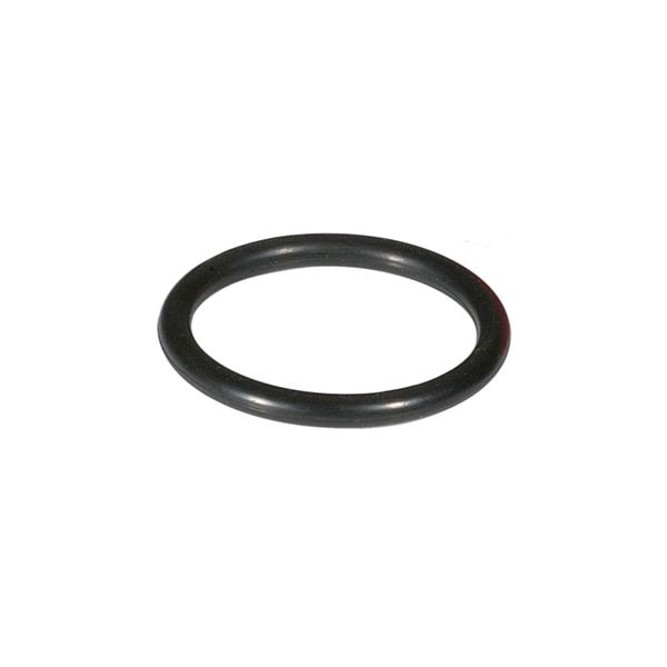 Honeywell O-krúžok pre FF06 3/4" - 11/4" a FK06 1" - 11/4"