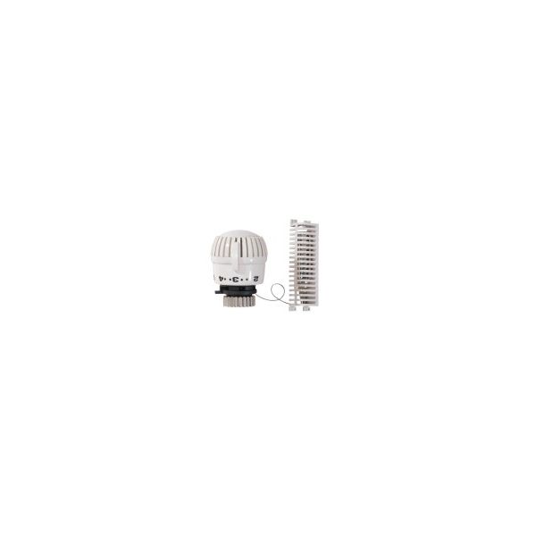 Honeywell Term.hlav.2080 odd.čidl.2m