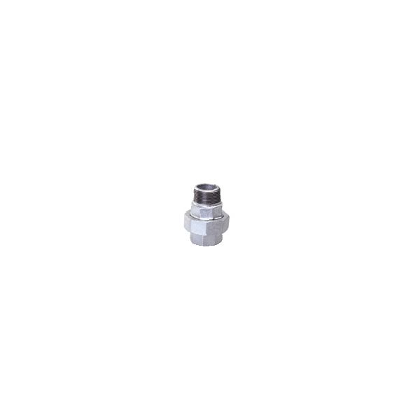 Pozink.Šrub.331 dn 50    2"  MF